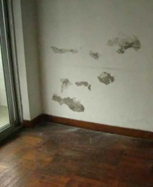 为什么铲腻子？原有墙面腻子是否需要铲除？