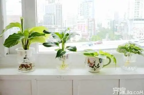 醋为什么能除油漆味？去除油漆味的9大方法？