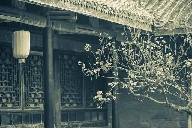 为什么南方的房子盖那么高？南方的房屋历史和演化