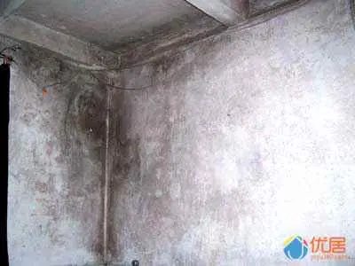 为什么墙角会发霉呢？入住不久墙面就长斑渗水发霉？