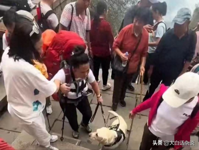 带导盲犬爬泰山盲人遭网暴辞职！