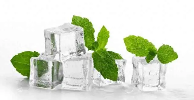 薄荷为什么会有清凉的感觉？薄荷为何能产生清凉感？