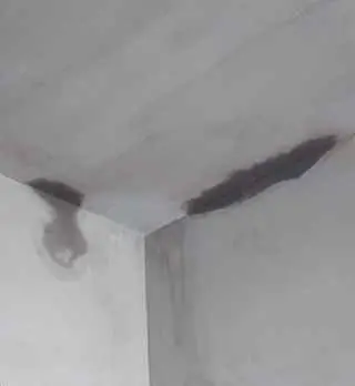 为什么墙体漏水渗水？外墙渗漏及预防措施