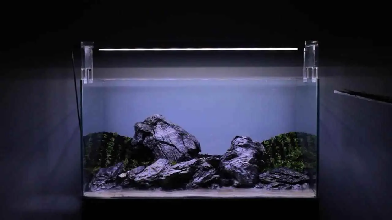 加热棒为什么不加热了？说说鱼缸加热棒的二三点事