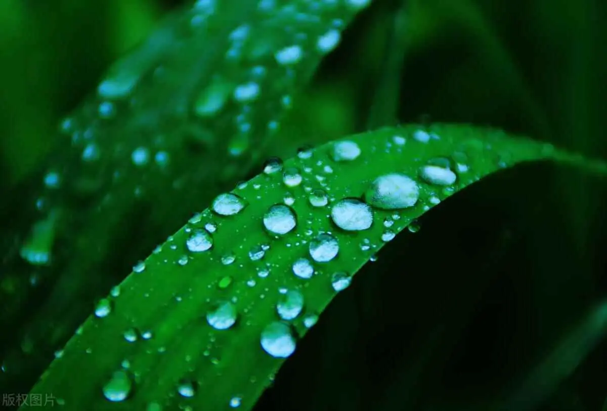 空气为什么要除湿？空气除湿用什么方法最好？