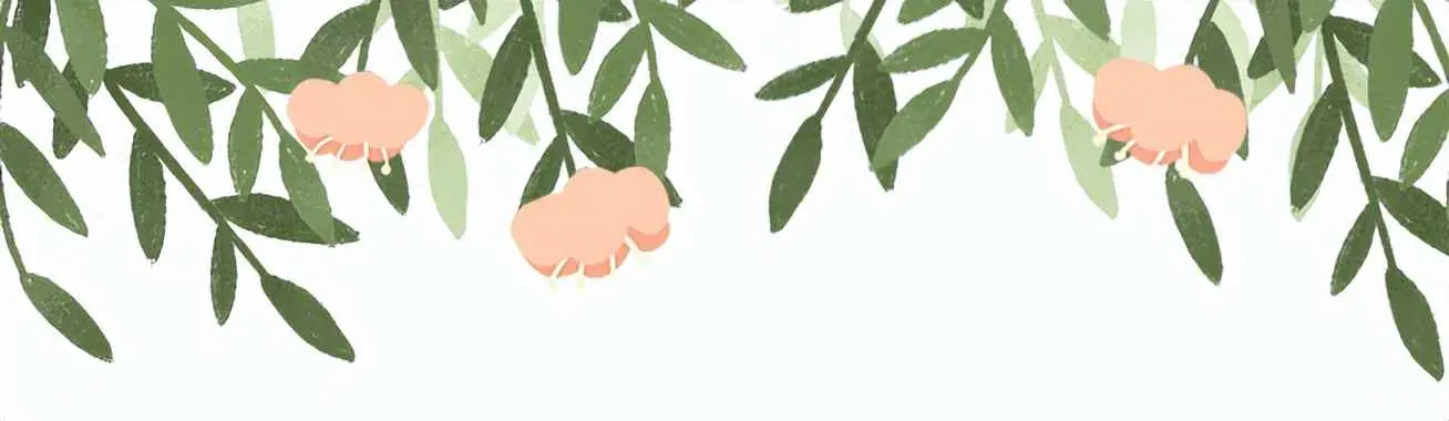 墙纸为什么容易发霉？梅雨季节的墙纸墙布铺贴秘籍