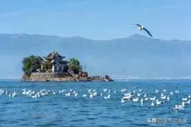 供热高层为什么有气？供暖管路内为什么会积气