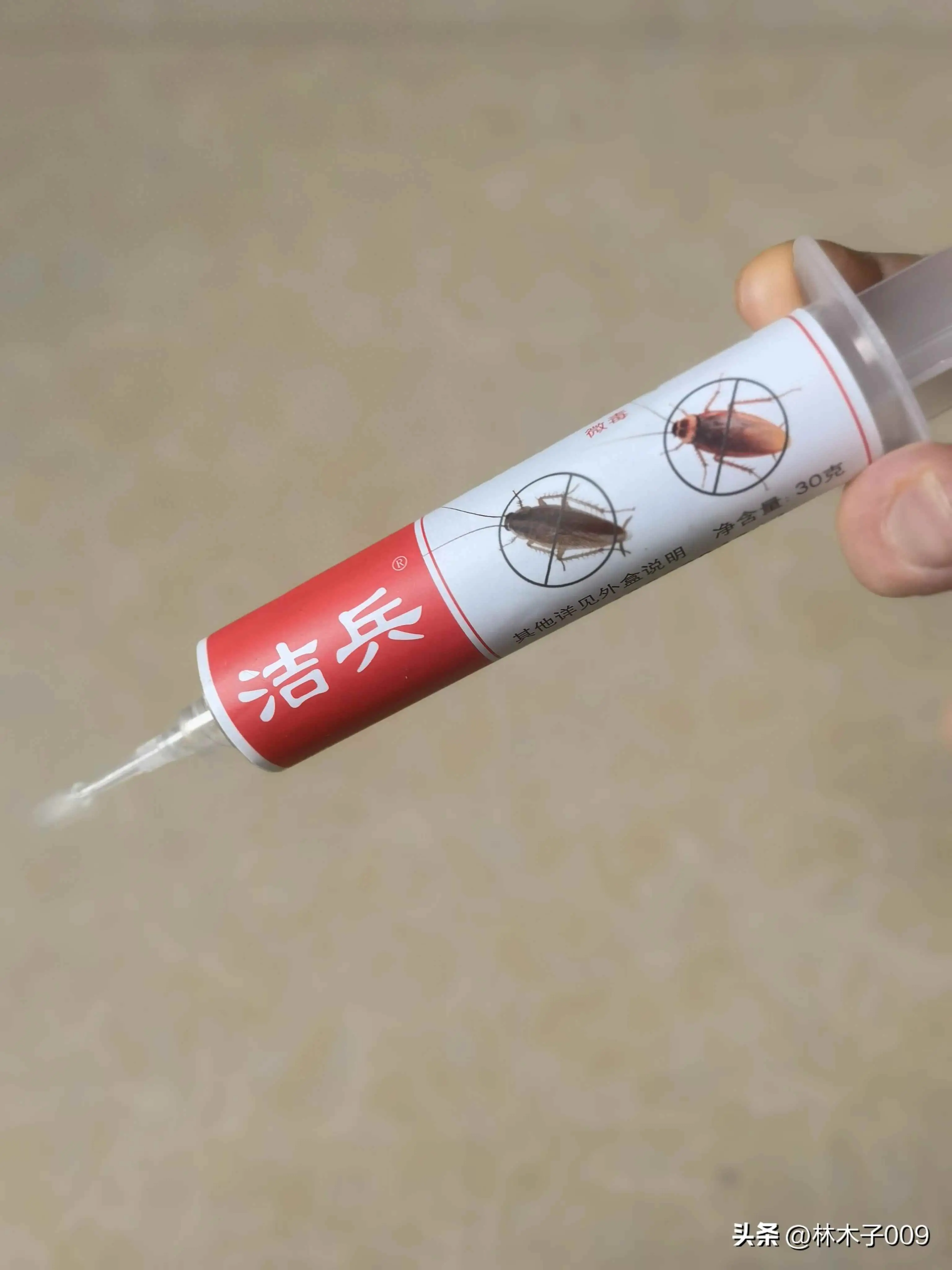 房间干净为什么有蟑螂？家里干净就不会有蟑螂吗