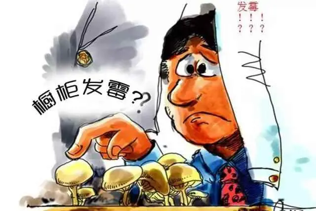 厨房为什么会发霉？为什么你家的橱柜会发霉？