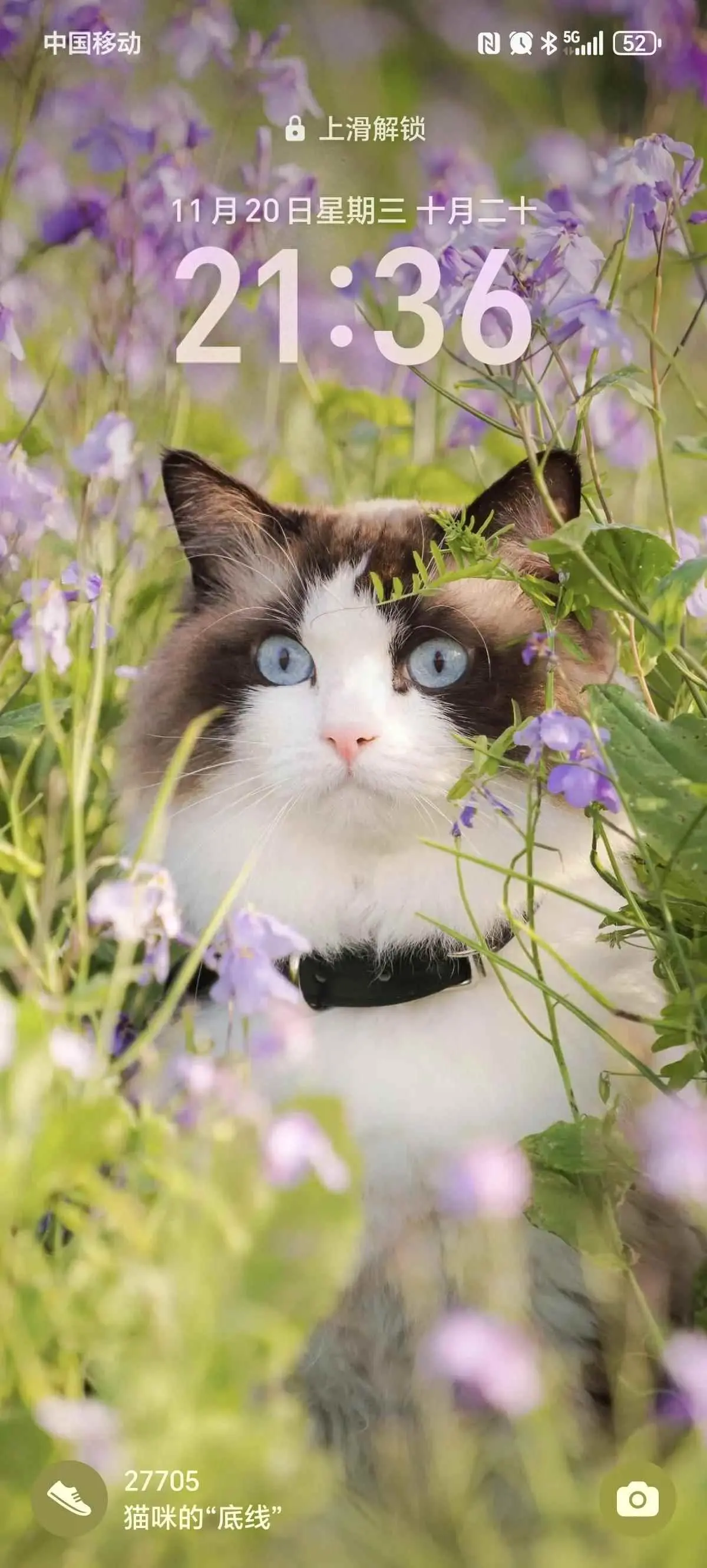 为什么纯棉发黄？如果纯棉白色衣服发黄，可以尝试以下方法洗白：