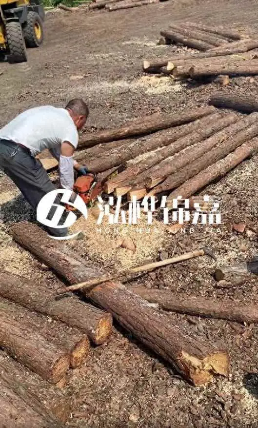 地基打桩为什么能防止下沉？建房子地基打木桩靠谱吗？