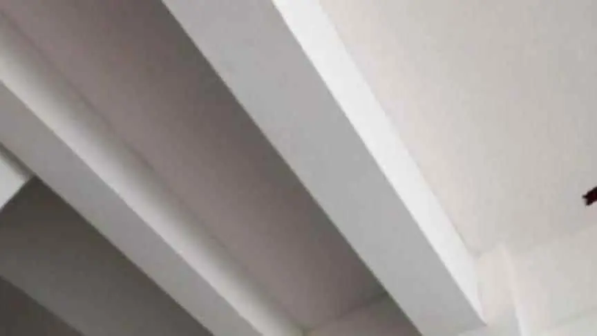 抹灰为什么开裂？抹灰时墙体开裂？