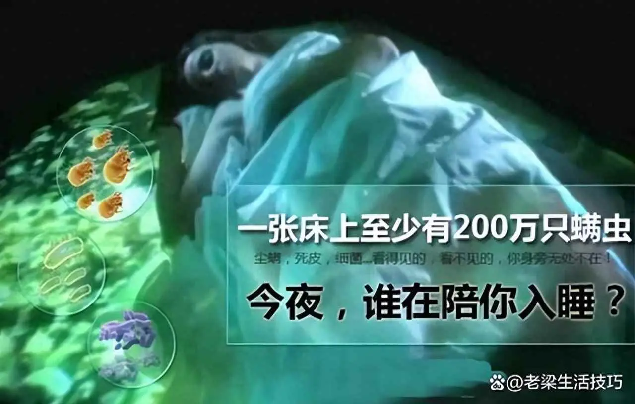 床垫为什么长虫？床垫长虫子怎么处理？你知道床垫上有多少螨虫吗？