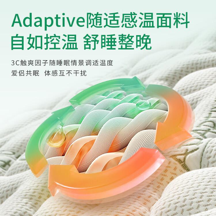 棕大师和穗宝山棕床垫对比?选哪个更适合你的睡眠需求?