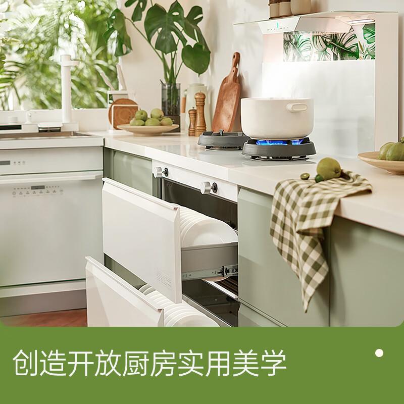 集成灶品牌排行榜十强:优质厨房选择与先进科技的完美结合