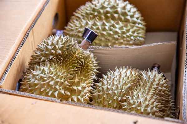误当成燃气泄漏 德国消防队因榴莲味一天四次出警(图1)