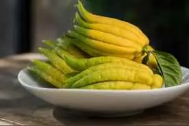 佛手为什么会腐烂？佛手根腐病的发生特点