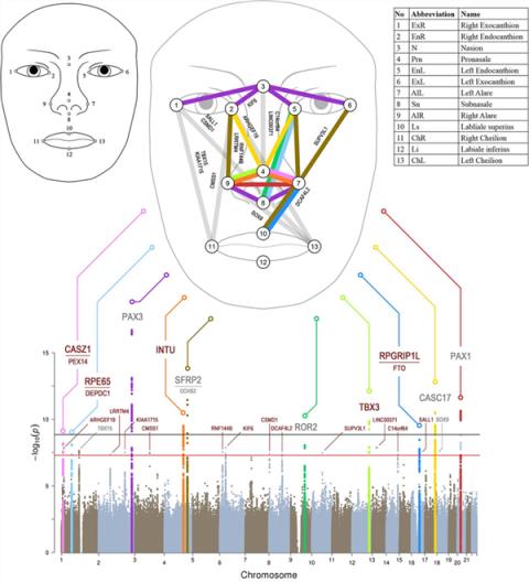 一个人能记住多少个人的脸 这个数字赌你猜不到(图3)