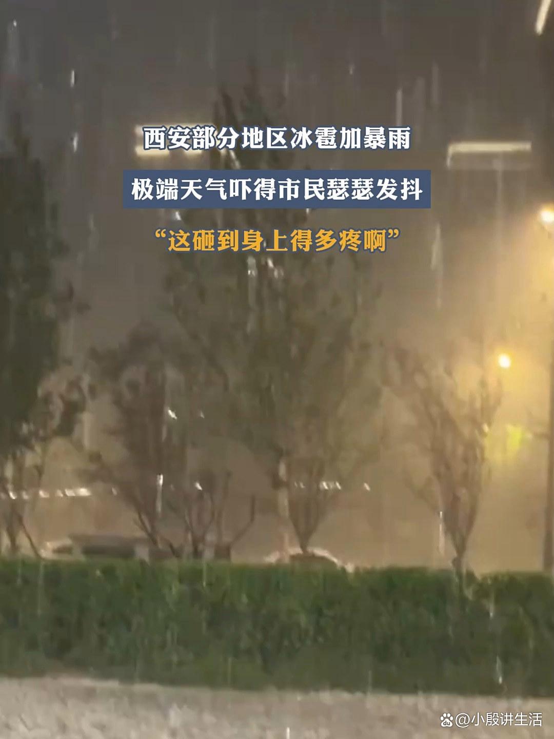 陕西西安:连续降雨一个多月?遍地长满了蘑菇?城墙布满青苔!