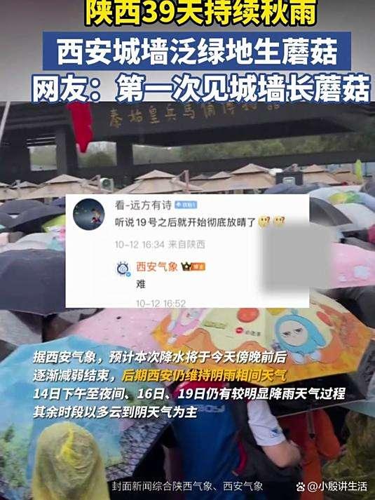 陕西西安:连续降雨一个多月?遍地长满了蘑菇?城墙布满青苔!
