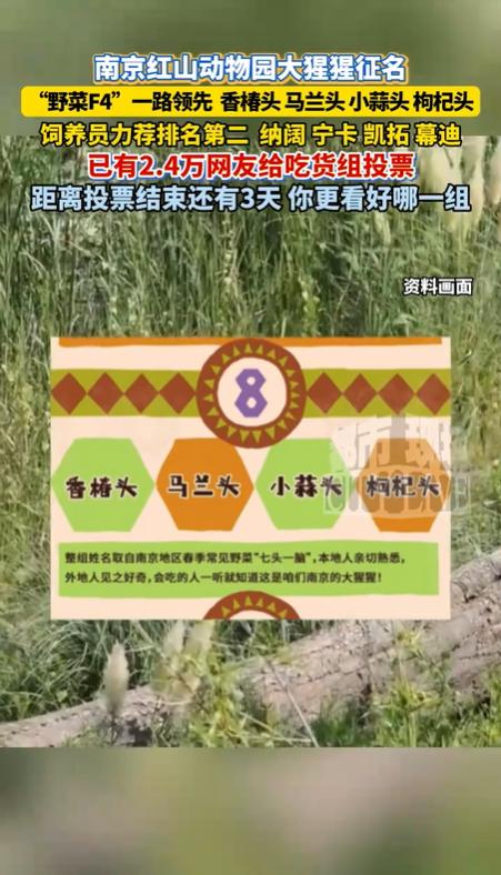 红山动物园征名翻车记:当网络狂欢遭遇动物保护初心