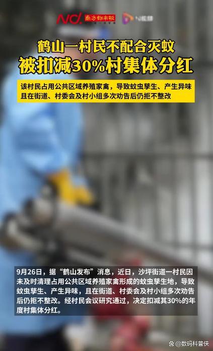一条村路三天修成?终结十年出行困局!背后三个机制让“搭便车”彻底失效