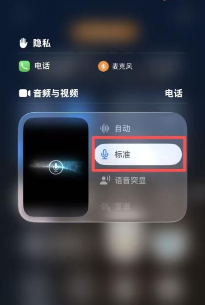 客服回应iPhone通话语音隔离：实际是“语音突显”功能 需手动开启(图3)