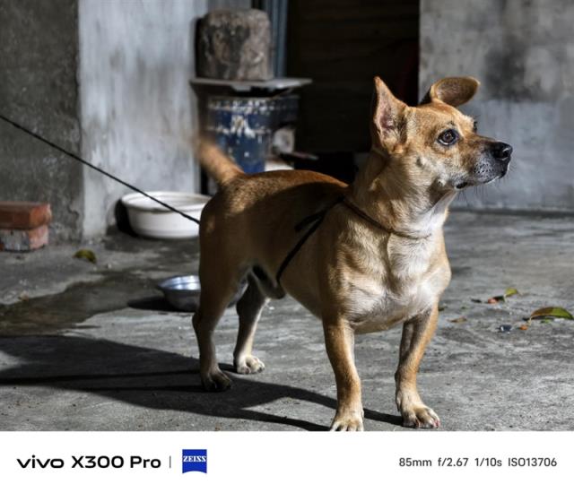 史上最强的影像旗舰！vivoX300Pro评测：越级挑战的全能神机(图3)