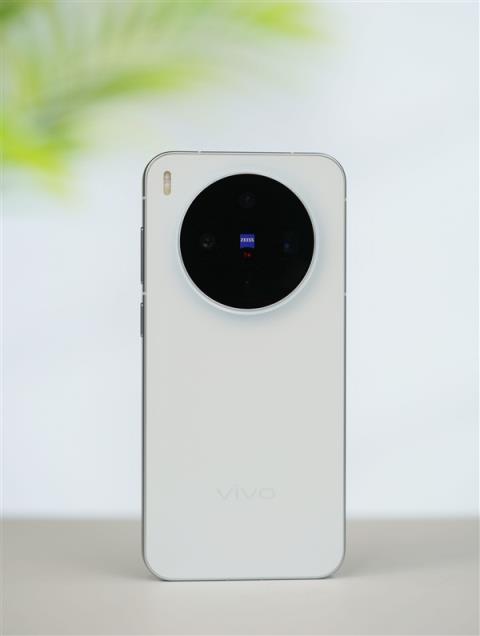 满血2亿灭霸主摄！vivoX300图赏(图9)