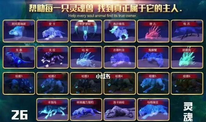 玩转猎人之道，掌握wow猎人稀有宝宝图鉴？一本不可多得的宝典