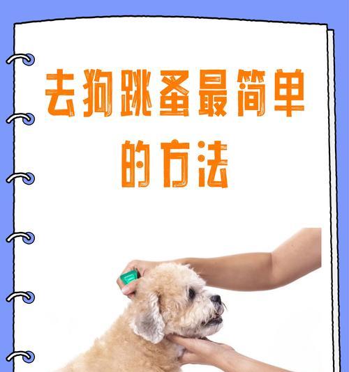 彻底消灭跳蚤的科学方法？从源头出发