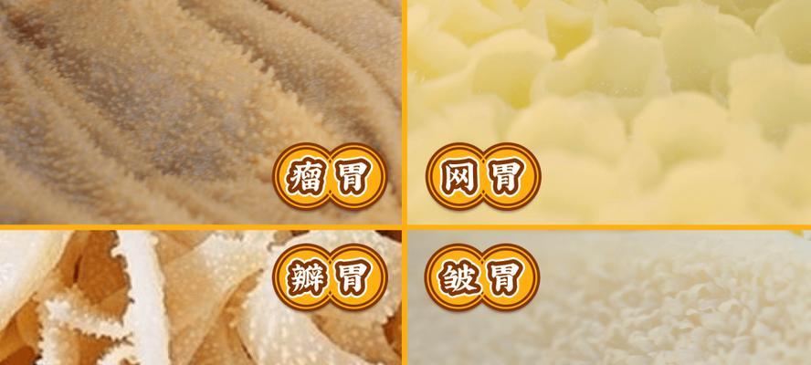 毛肚还是百叶？区别大不同