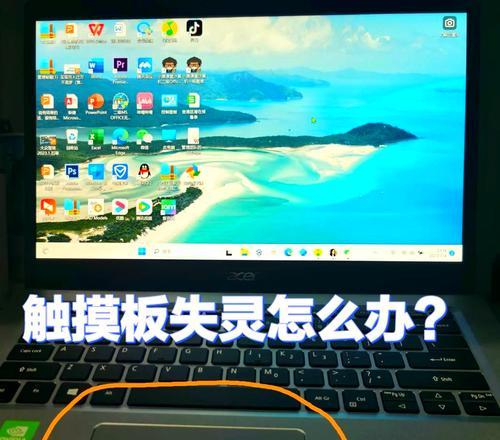 笔记本自带触控板失灵了怎么办？如何解决笔记本自带触控板失灵问题