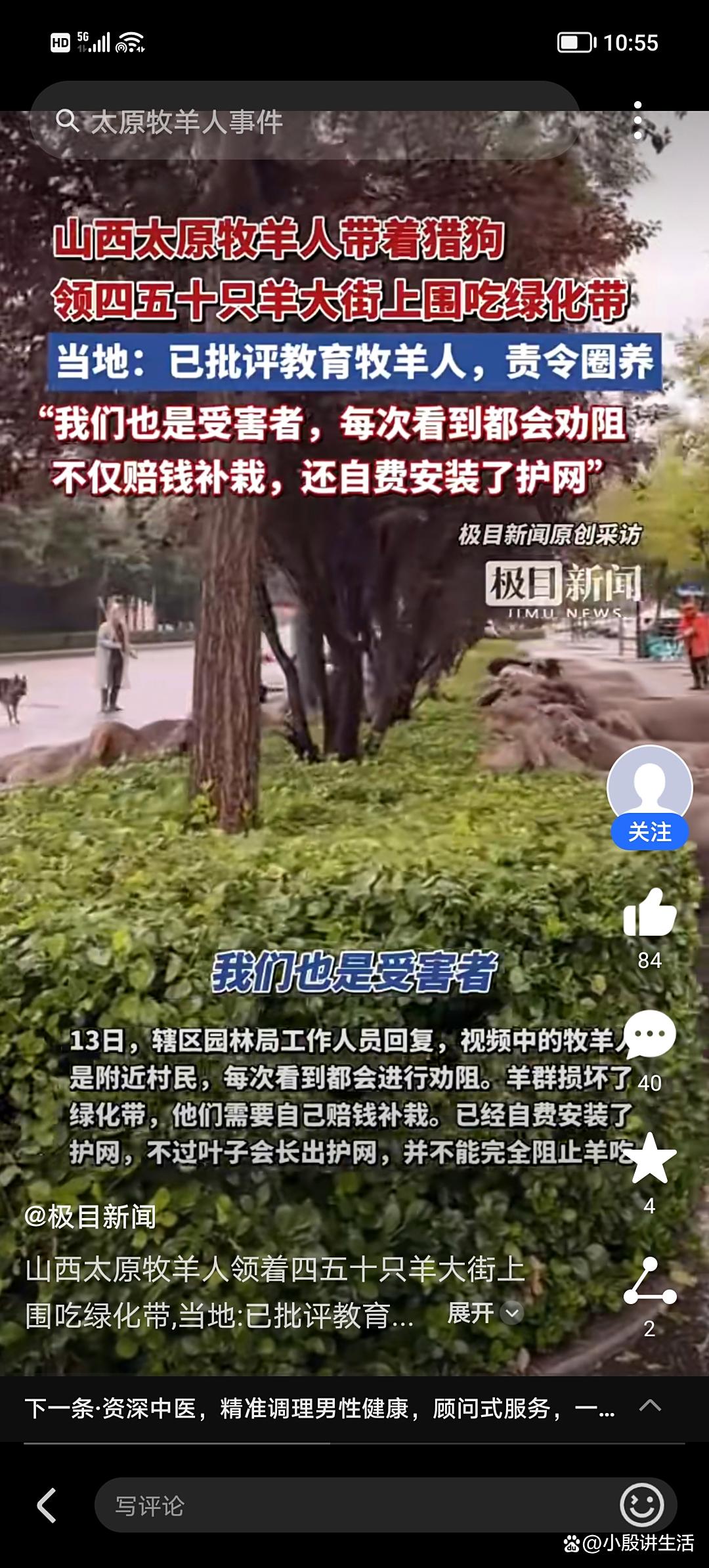 山西太原：四五十只羊围着吃绿化带？为此官方做出了回应！