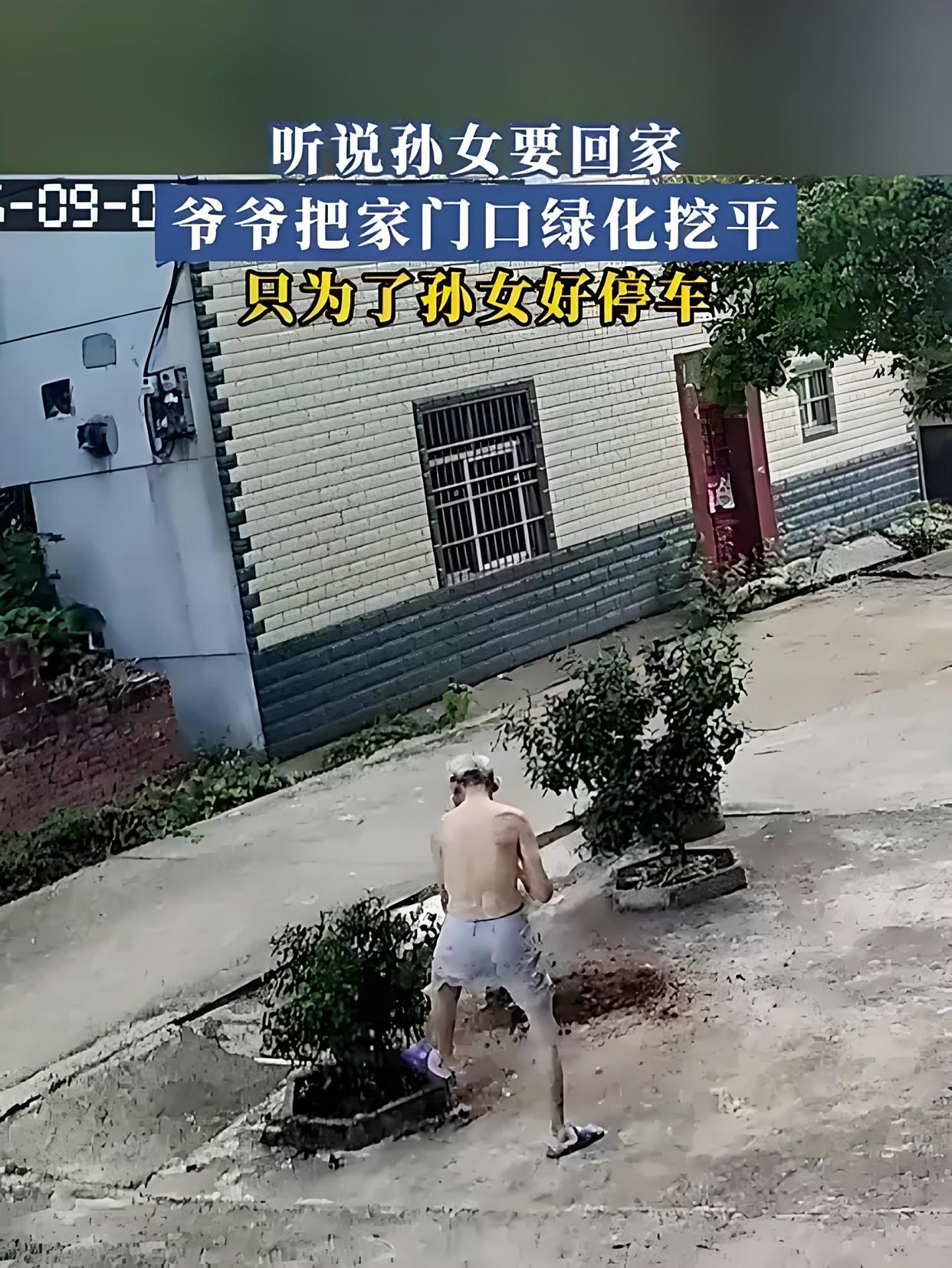 爷爷为了孩子停车方便铲除门口花坛