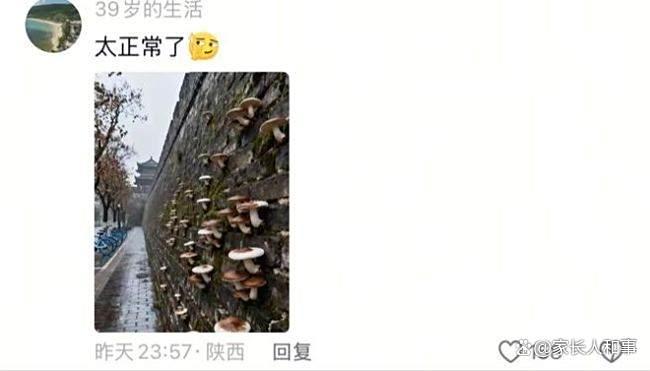 西安40天降雨破纪录!市民:我盘了4年的核桃竟然发芽了