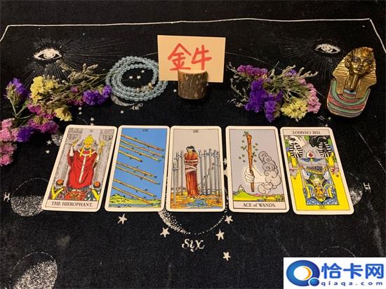 星币1是什么意思