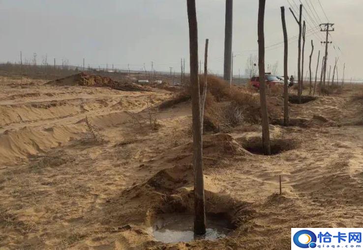 官方通报林场主跪地求水:已安排浇灌？深夜通报！“跪地求水”事件最新进展