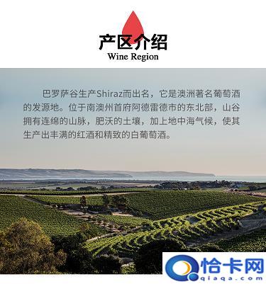 900ml白酒，900一瓶的白酒