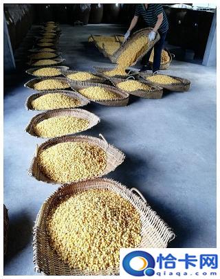 茅台马到成功酒(茅台道禾国韵酒多少钱一瓶)