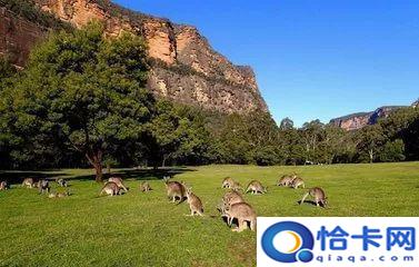 澳赛诗红葡萄酒_澳赛诗红酒价格及图片