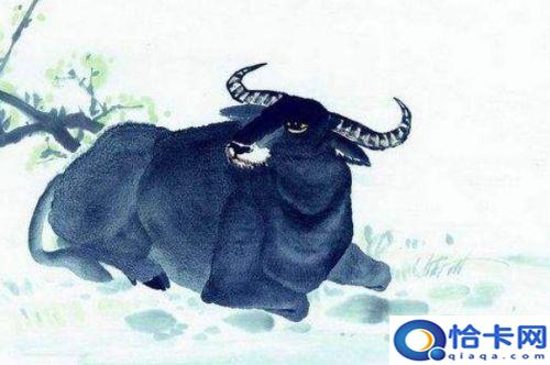 上下阶级打一生肖是什么动物(上下一致打一生肖)