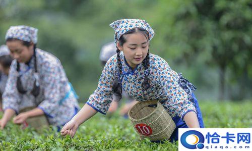 雅安三雅，雅安的三雅是指什么？