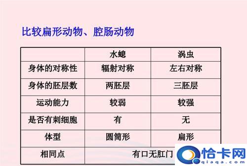 腔肠动物用什么呼吸,腔肠动物