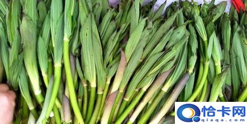 野菜的种类名称,野菜种类大全图片名称