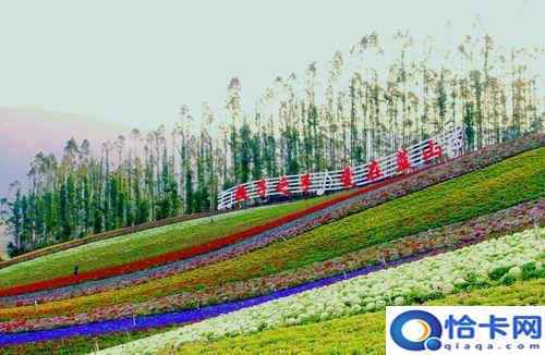 厦门十里蓝山(十里蓝山花海什么时候开)