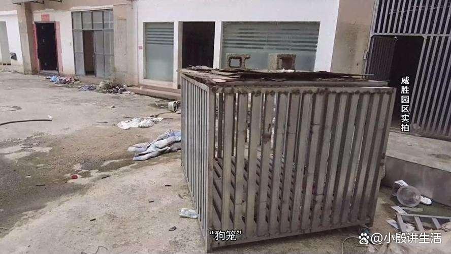 缅北刘家:直接强迫女性吸毒?可谓无恶不作?终将被绳之以法!