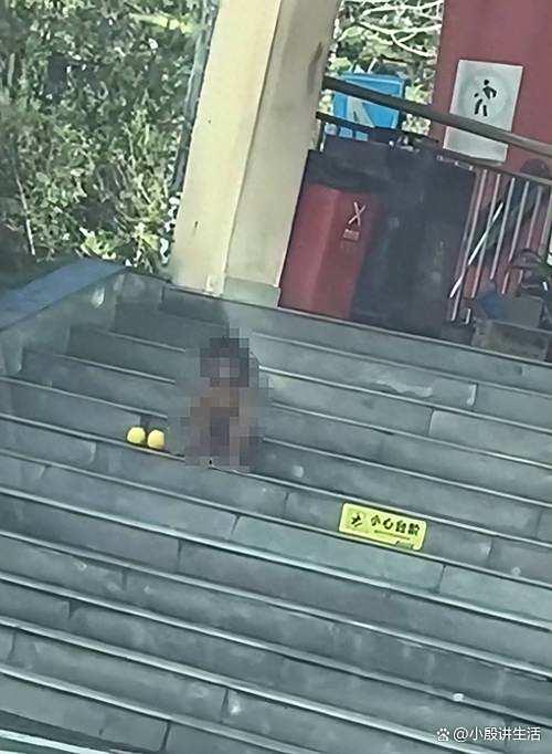 四川雅安:高速上有家庭带野人小孩?多方为此进行回应!