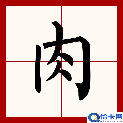 肉的拼音怎么写？肉的读音