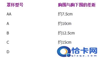 胸罩罩杯大小示意图，胸罩有分几种罩杯？从大到小分别是什么罩杯？